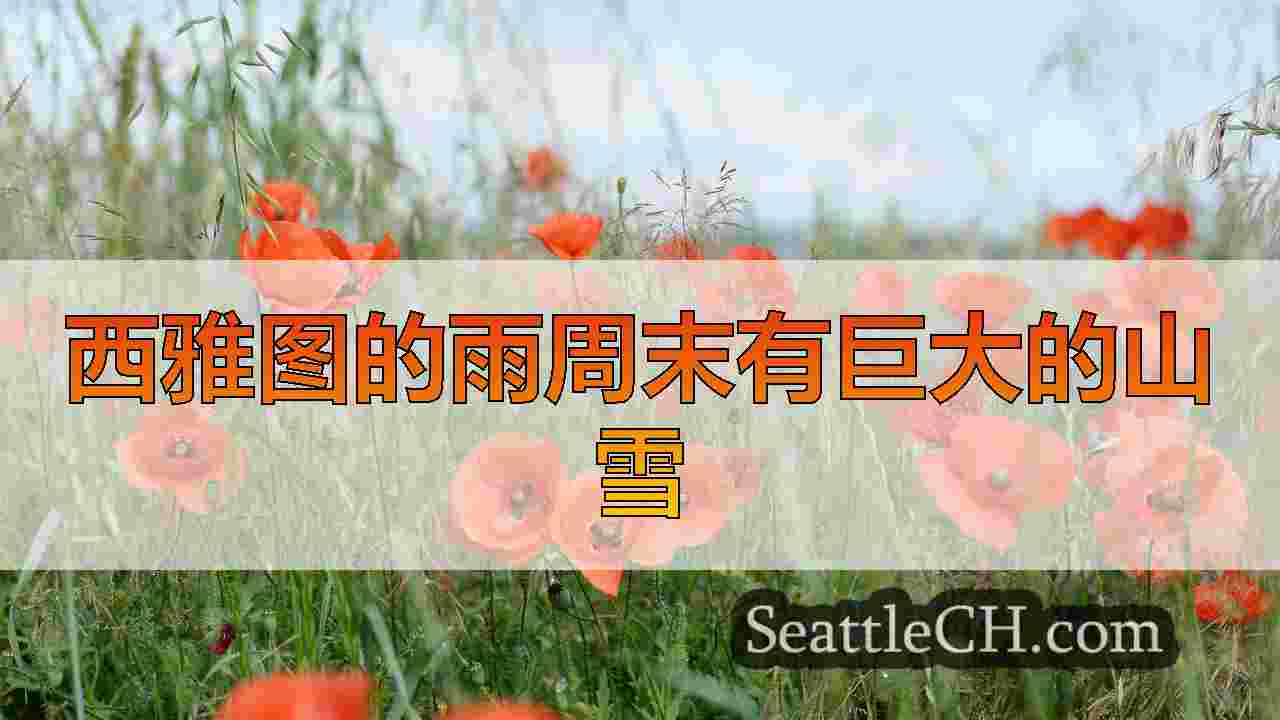 西雅图的雨周末有巨大的山雪