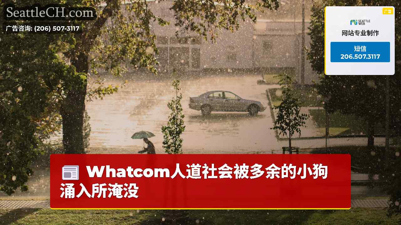 西雅图新闻 SeattleCH