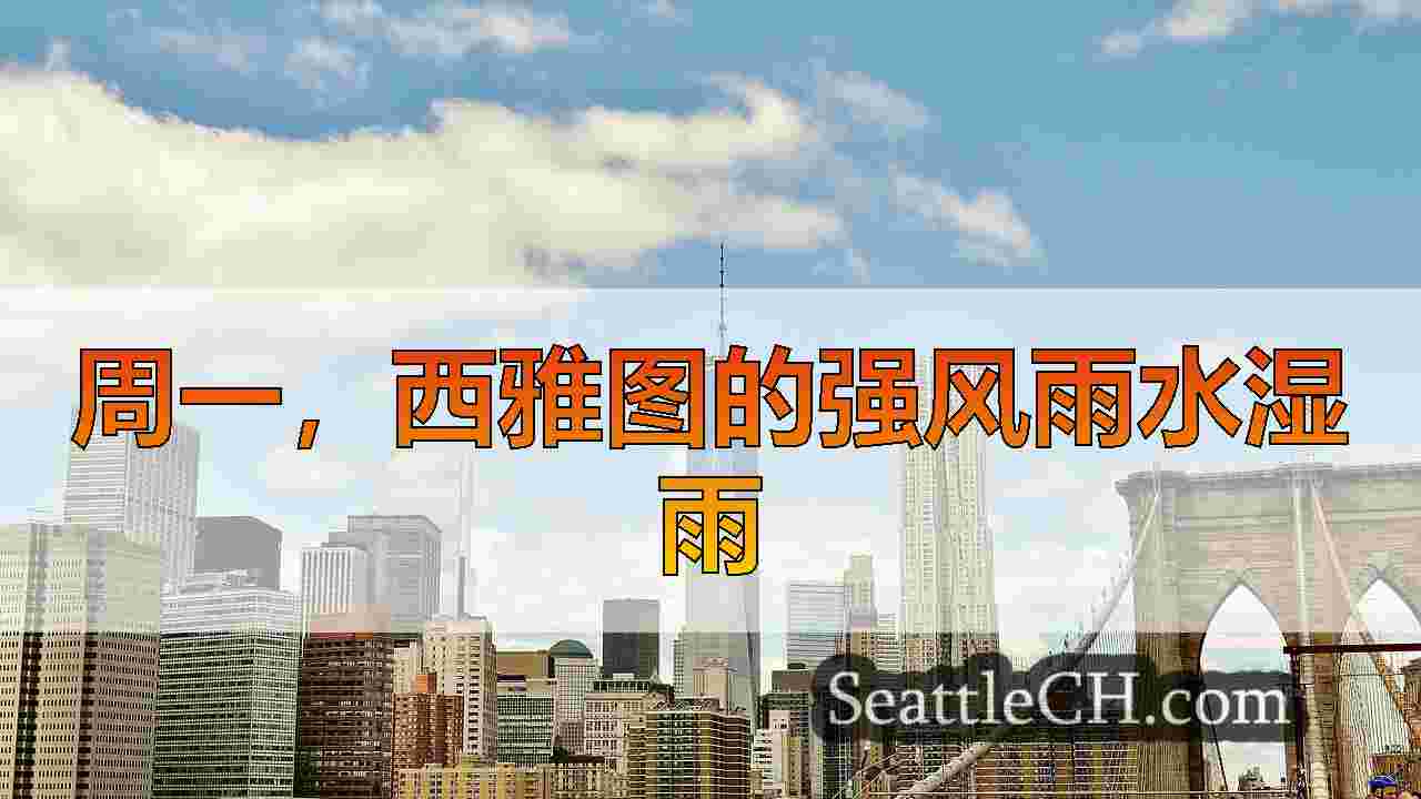 西雅图新闻 SeattleCH