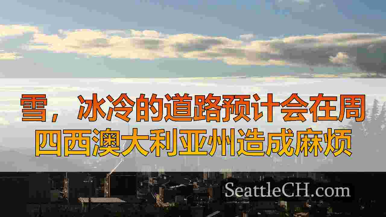 西雅图新闻 SeattleCH