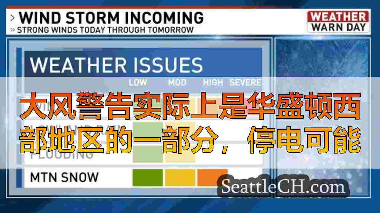 西雅图新闻 SeattleCH