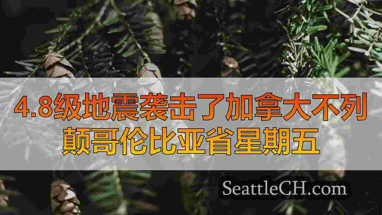 西雅图新闻 SeattleCH