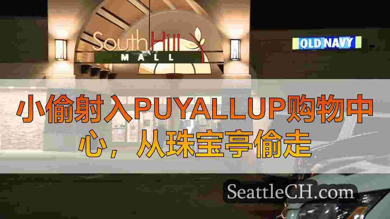 小偷射入Puyallup购物中心，从珠宝亭偷走