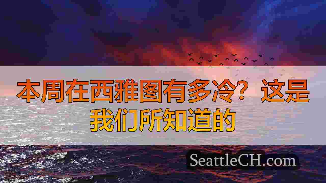 本周在西雅图有多冷？这是我们所知道的