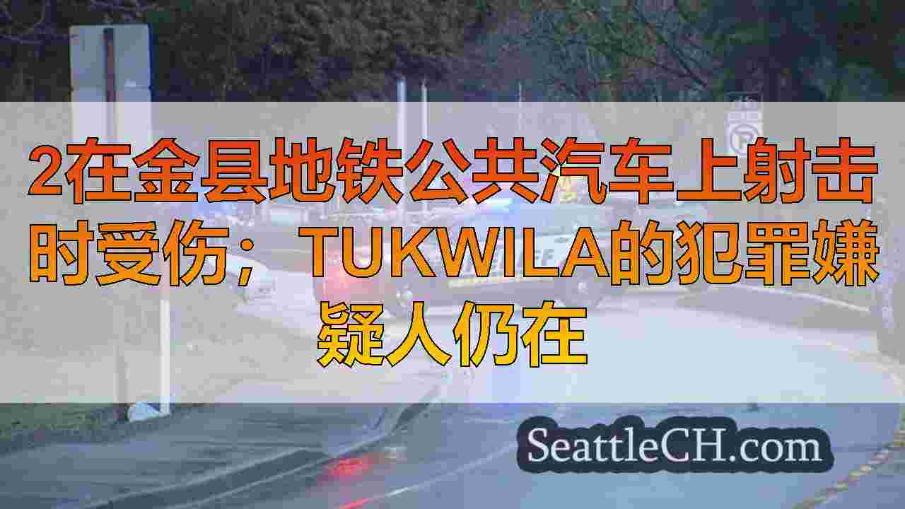 西雅图新闻 SeattleCH