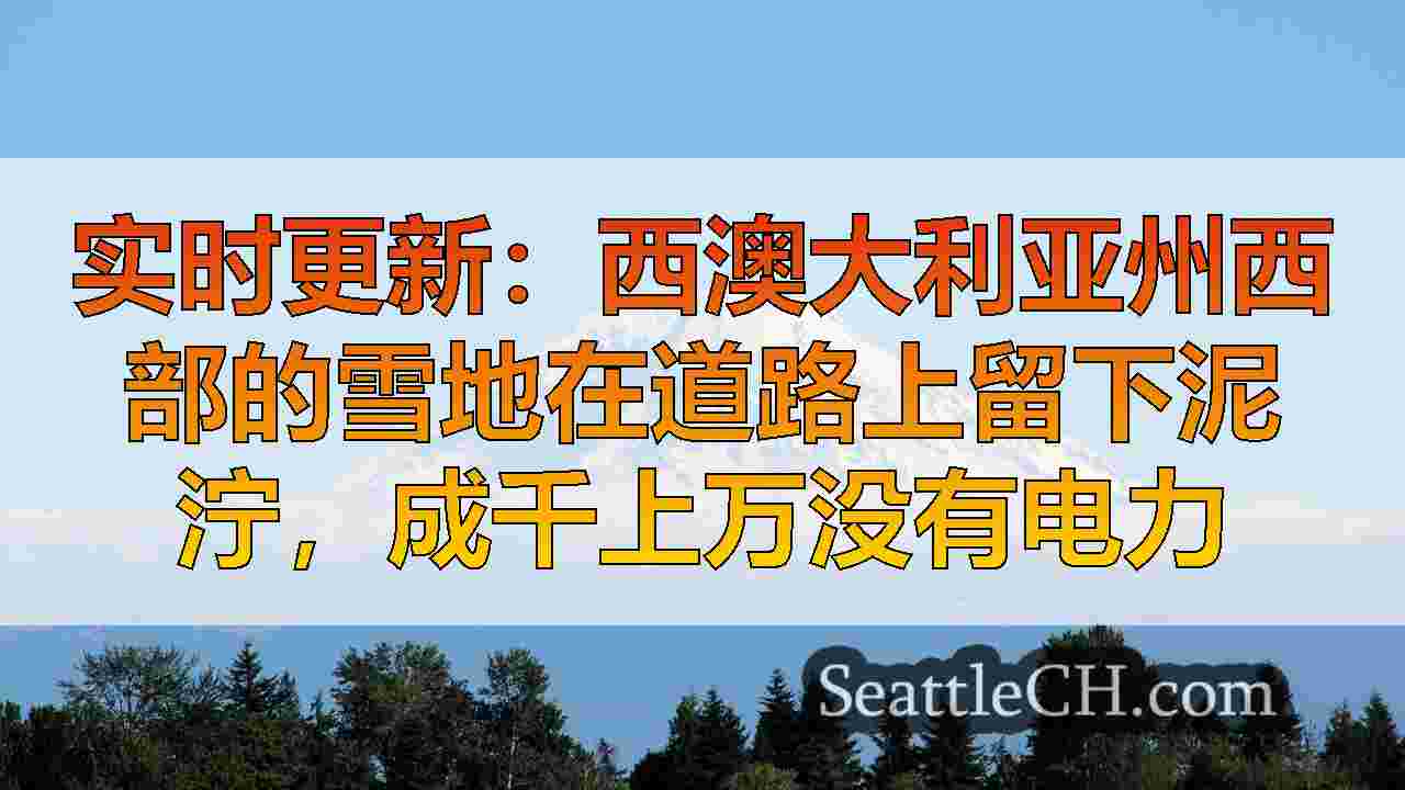 西雅图新闻 SeattleCH