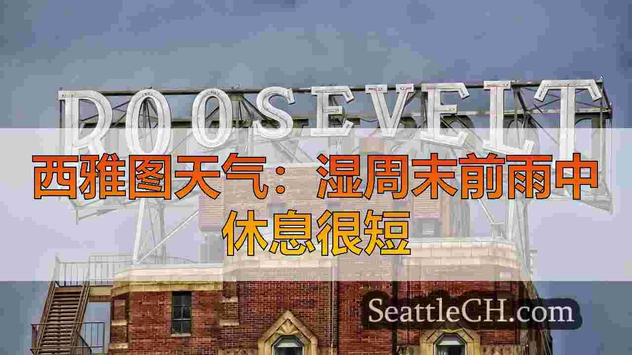 西雅图天气：湿周末前雨中休息很短