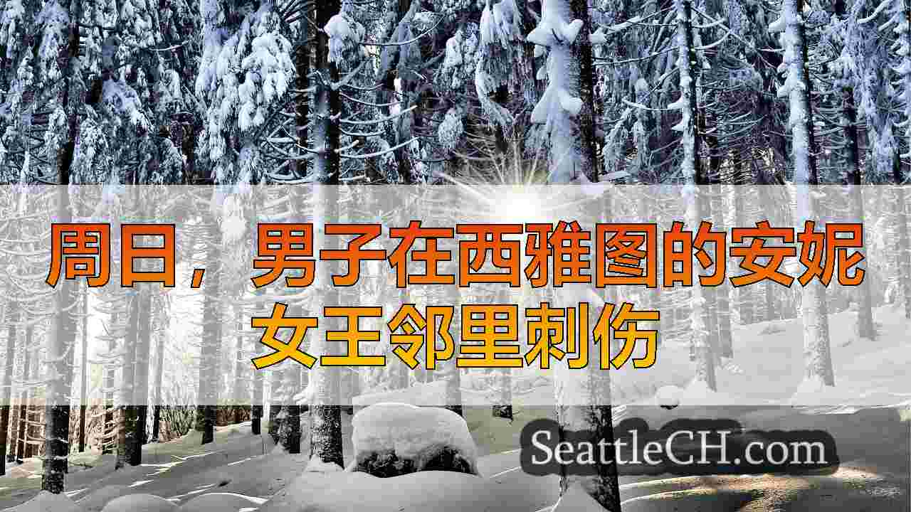 西雅图新闻 SeattleCH