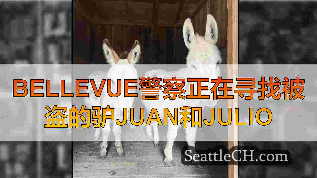 Bellevue警察正在寻找被盗的驴Juan和Julio