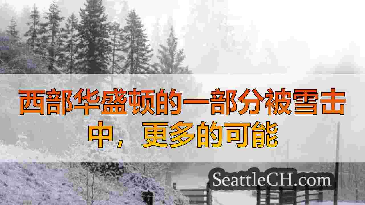 西雅图新闻 SeattleCH