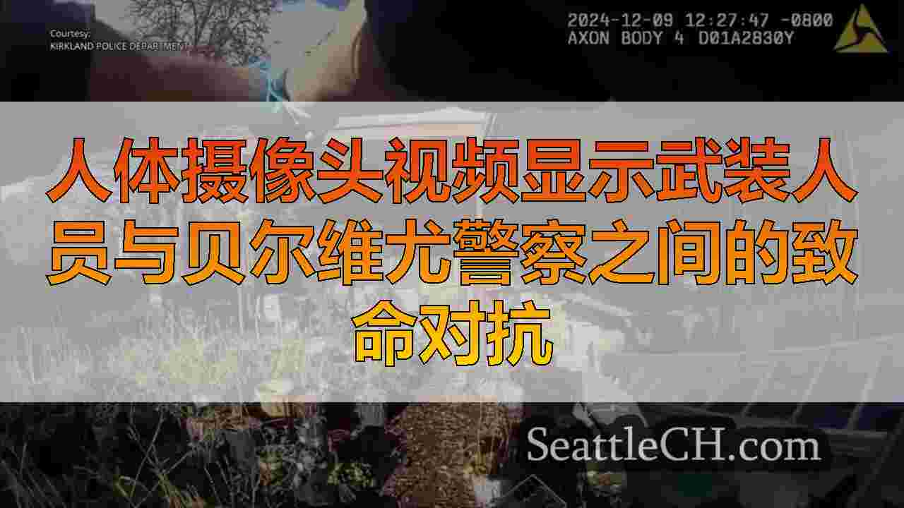 人体摄像头视频显示武装人员与贝尔维尤警察之间的致命对抗