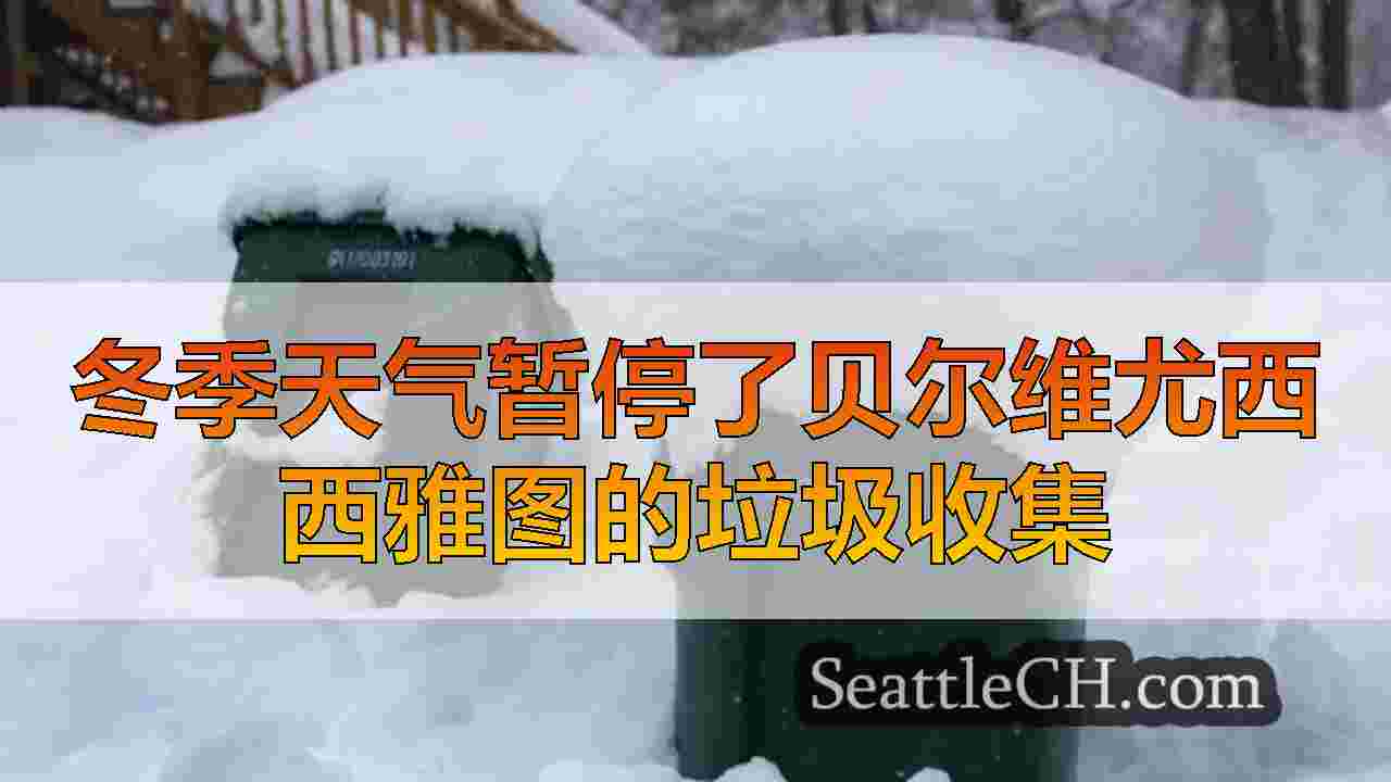 冬季天气暂停了贝尔维尤西西雅图的垃圾收集