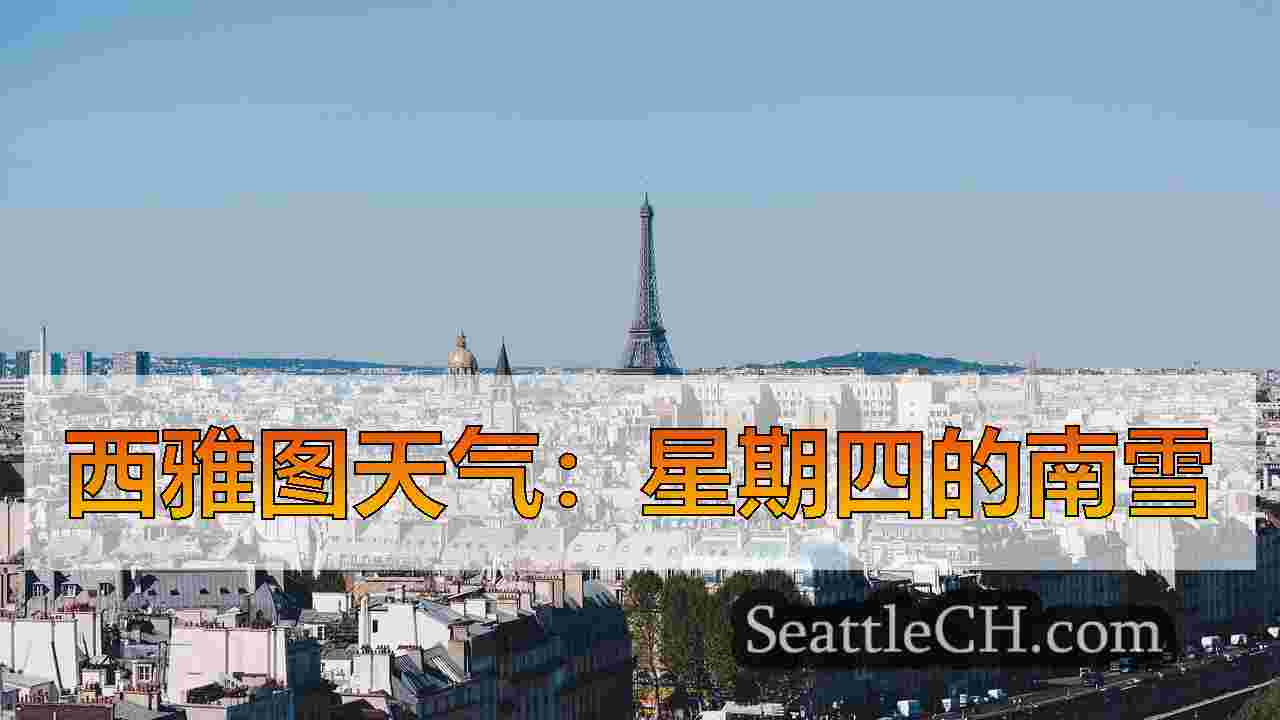 西雅图新闻 SeattleCH