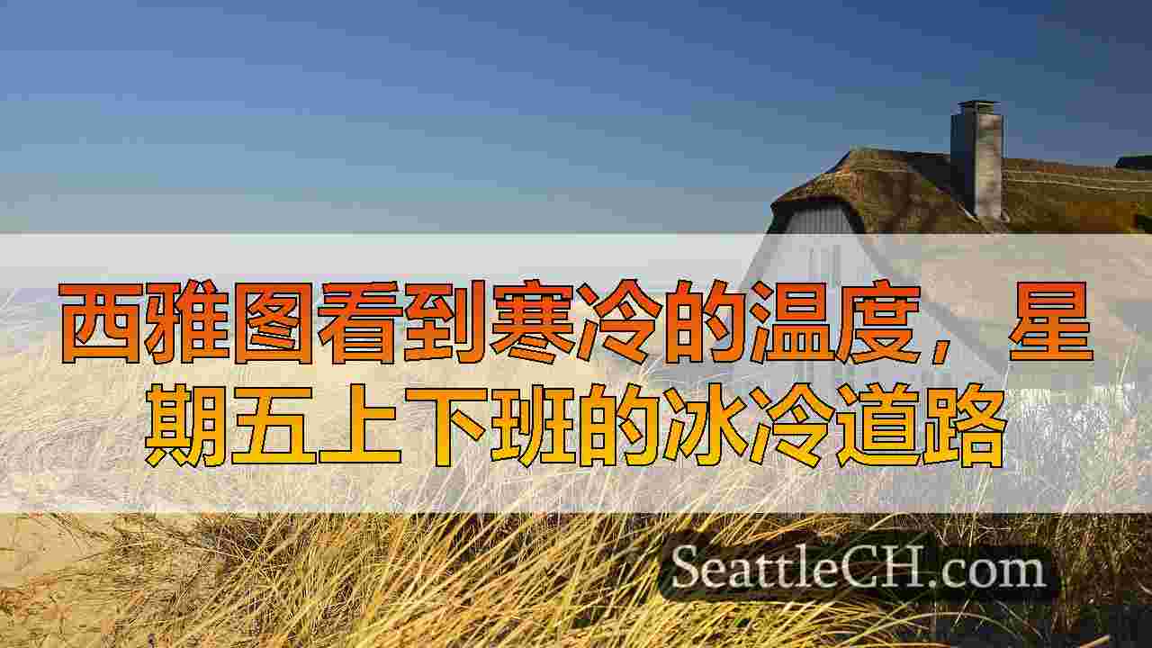 西雅图新闻 SeattleCH