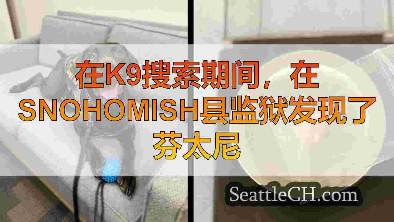 在K9搜索期间，在Snohomish县监狱发现了芬太尼