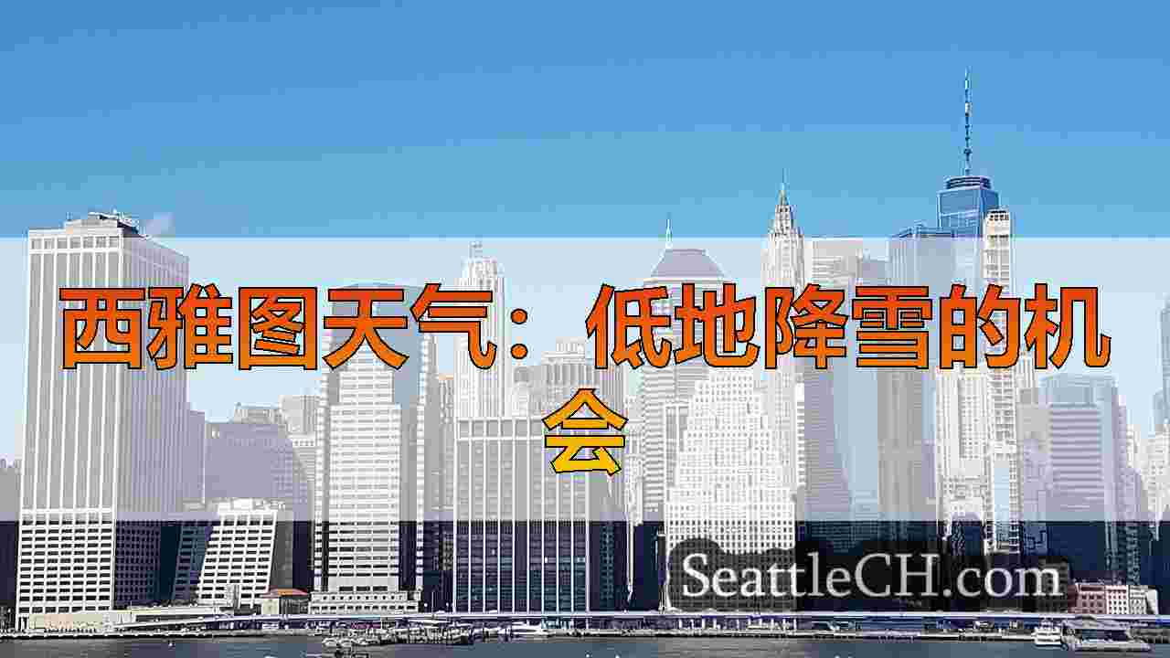 西雅图新闻 SeattleCH