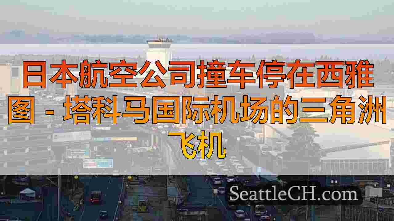 日本航空公司撞车停在西雅图 - 塔科马国际机场的三角洲飞机