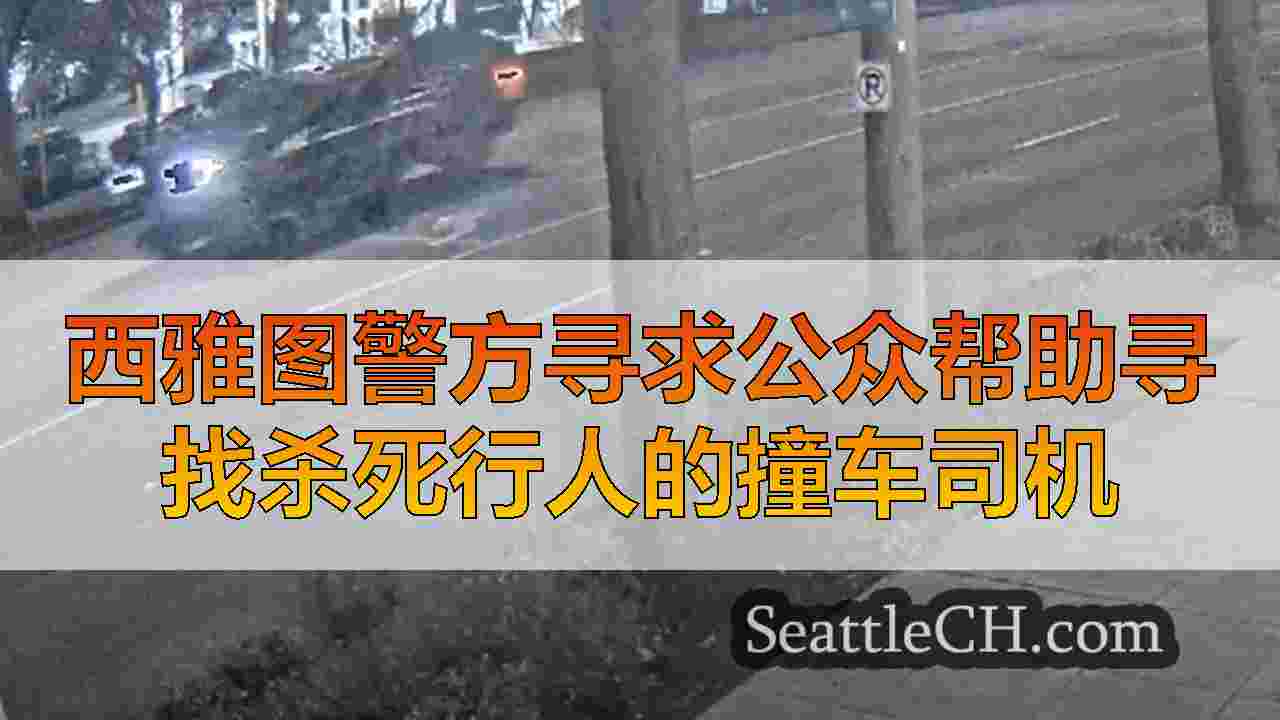 西雅图警方寻求公众帮助寻找杀死行人的撞车司机