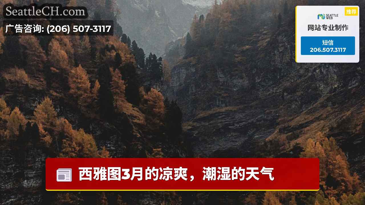 西雅图新闻 SeattleCH
