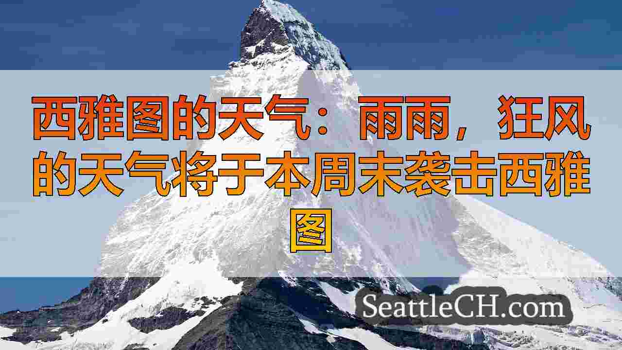 西雅图新闻 SeattleCH