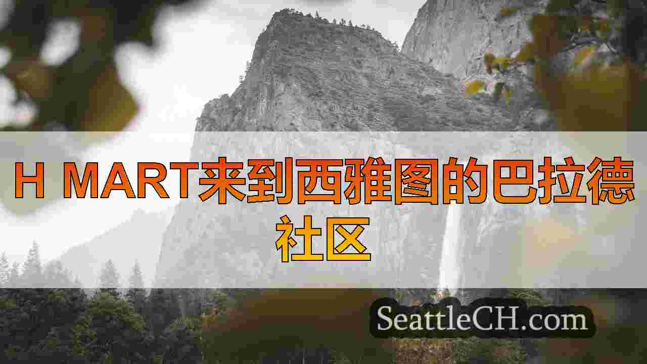 西雅图新闻 SeattleCH