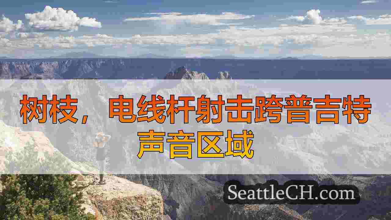 西雅图新闻 SeattleCH