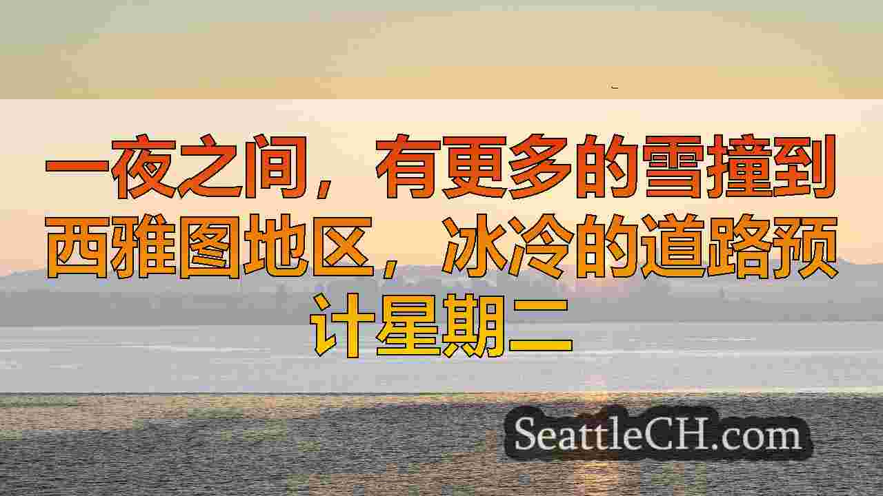 西雅图新闻 SeattleCH