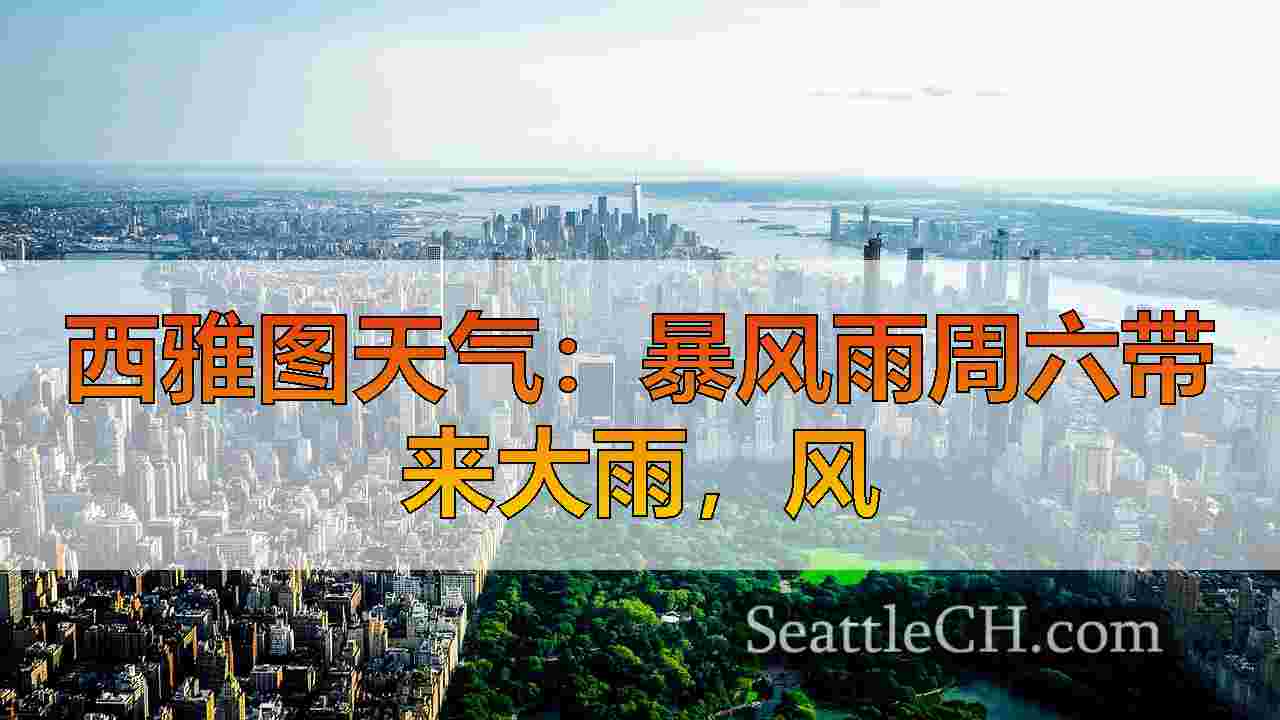 西雅图新闻 SeattleCH