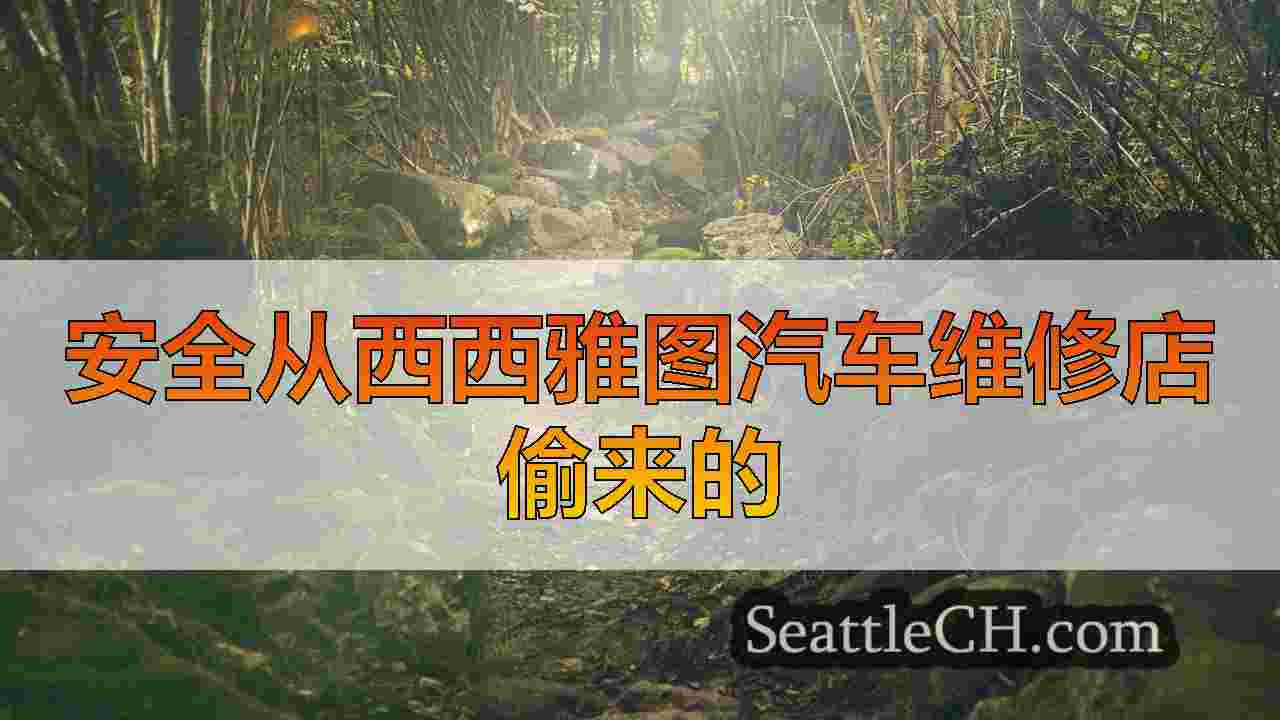 西雅图新闻 SeattleCH
