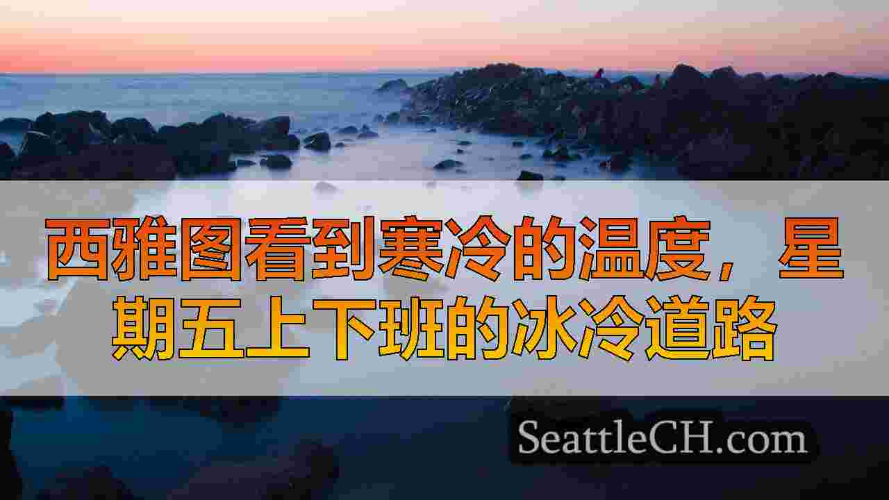 西雅图看到寒冷的温度，星期五上下班的冰冷道路