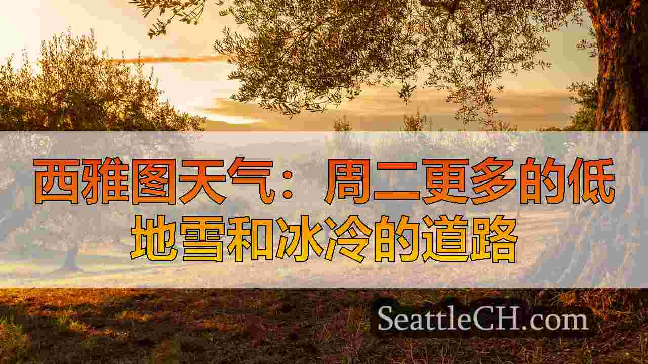 西雅图新闻 SeattleCH