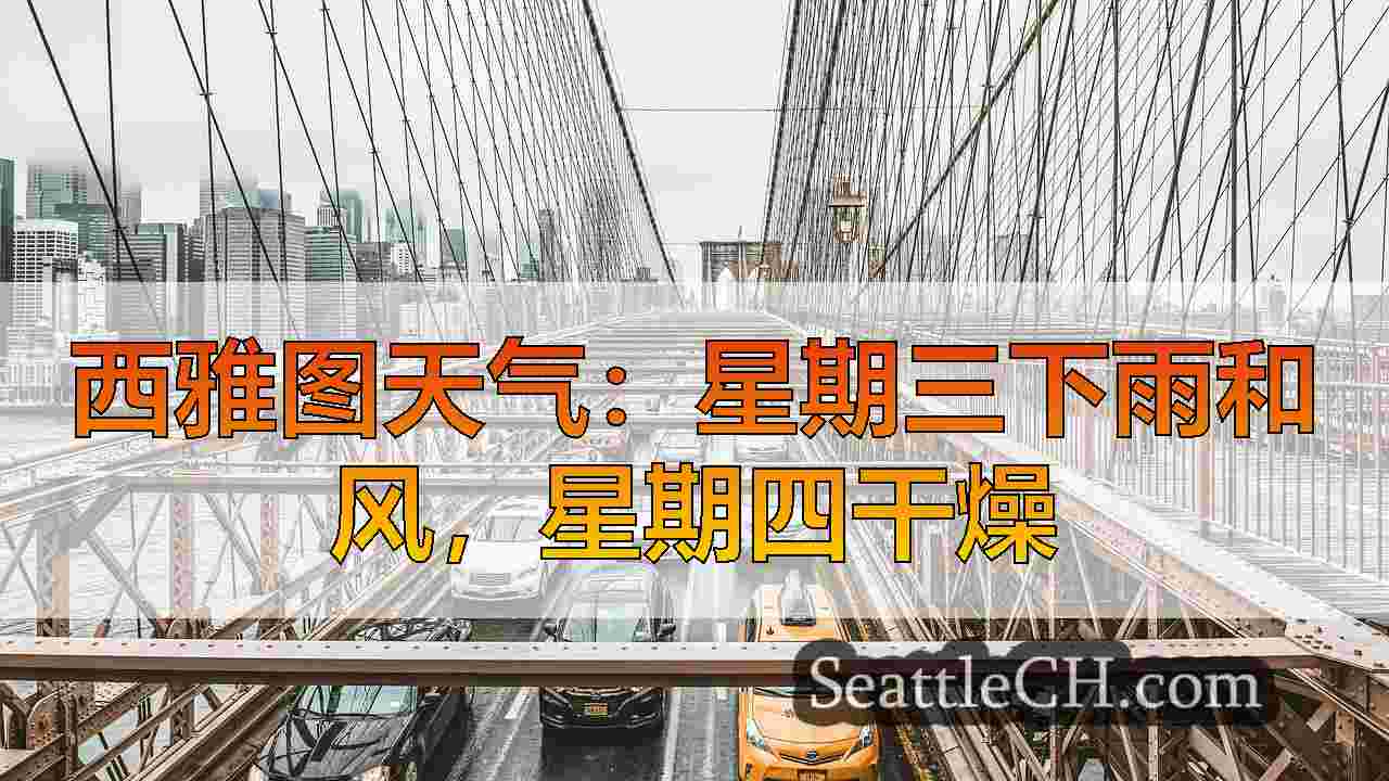 西雅图新闻 SeattleCH