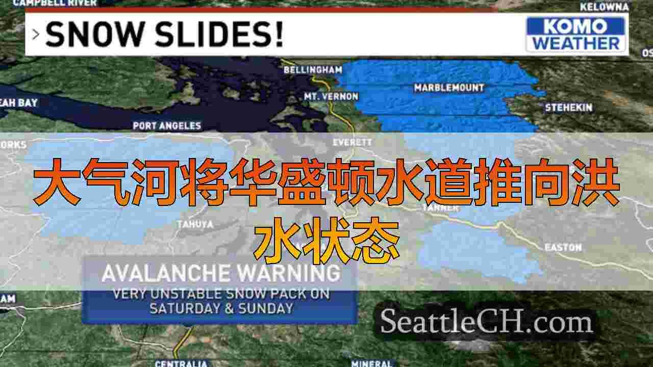 西雅图新闻 SeattleCH