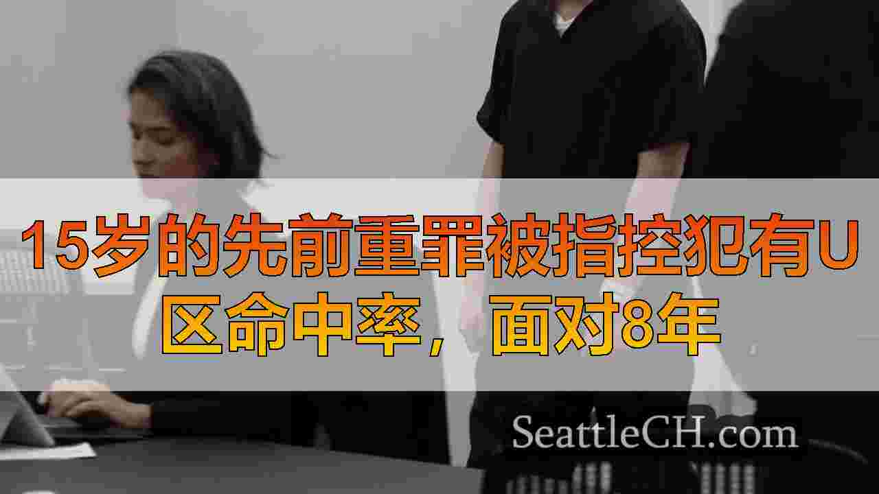 15岁的先前重罪被指控犯有U区命中率，面对8年