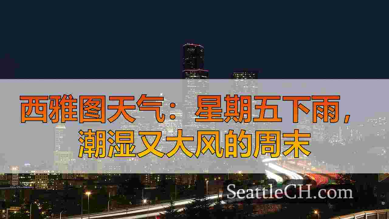 西雅图天气：星期五下雨，潮湿又大风的周末
