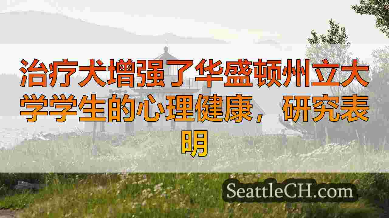 西雅图新闻 SeattleCH