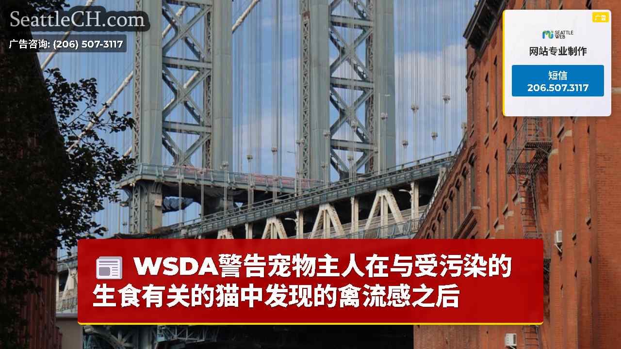 西雅图新闻 SeattleCH