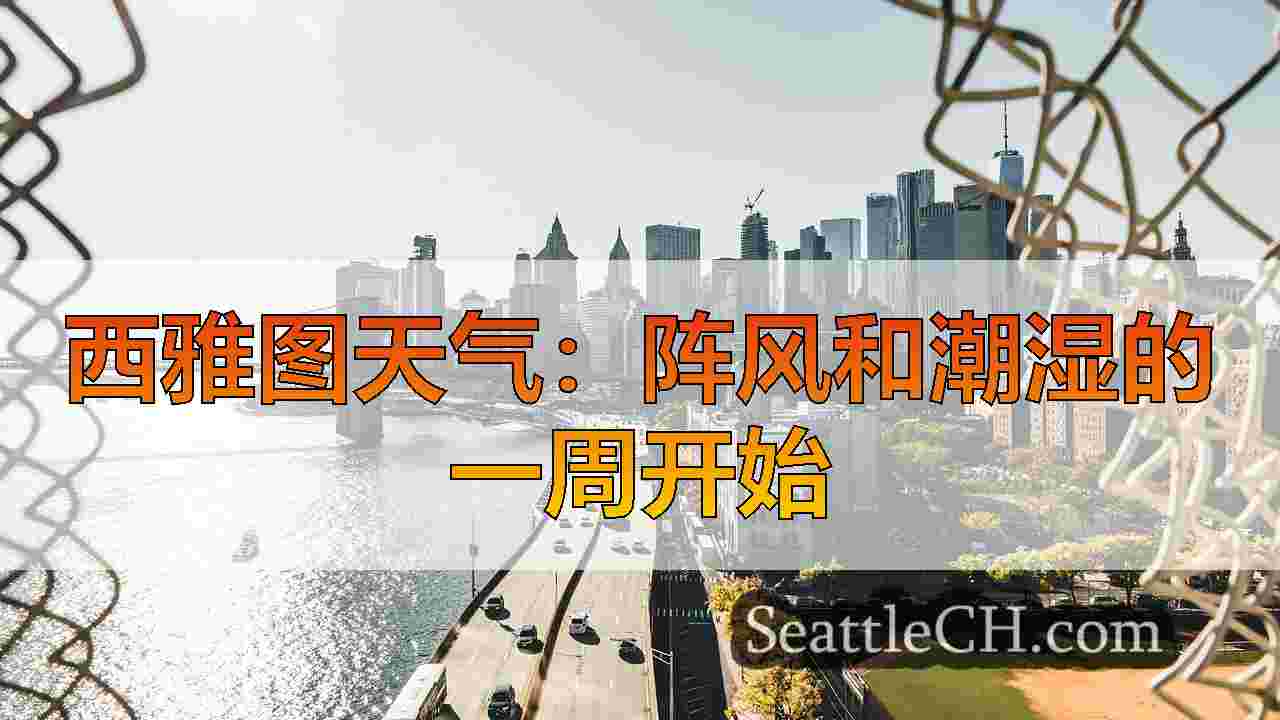 西雅图新闻 SeattleCH
