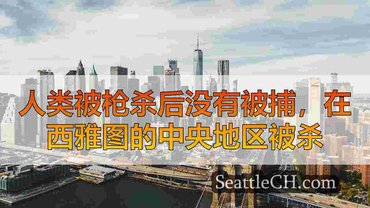 西雅图新闻 SeattleCH