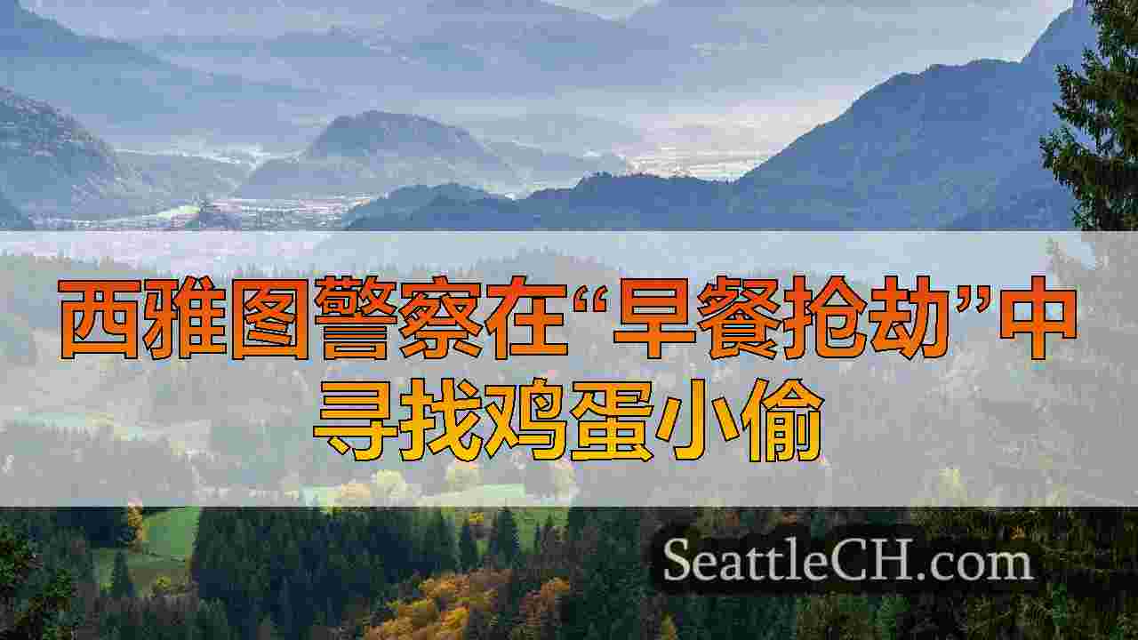 西雅图新闻 SeattleCH