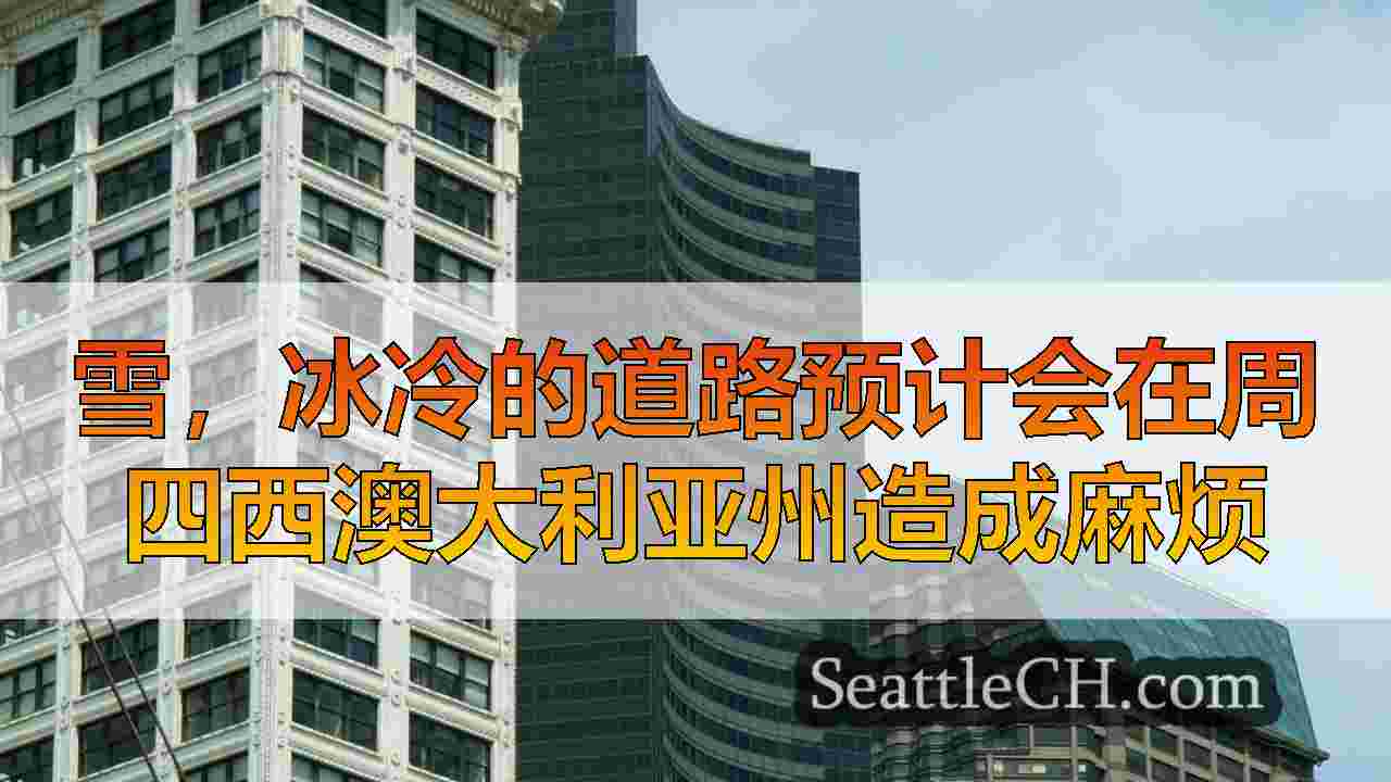 西雅图新闻 SeattleCH