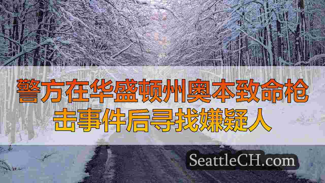西雅图新闻 SeattleCH
