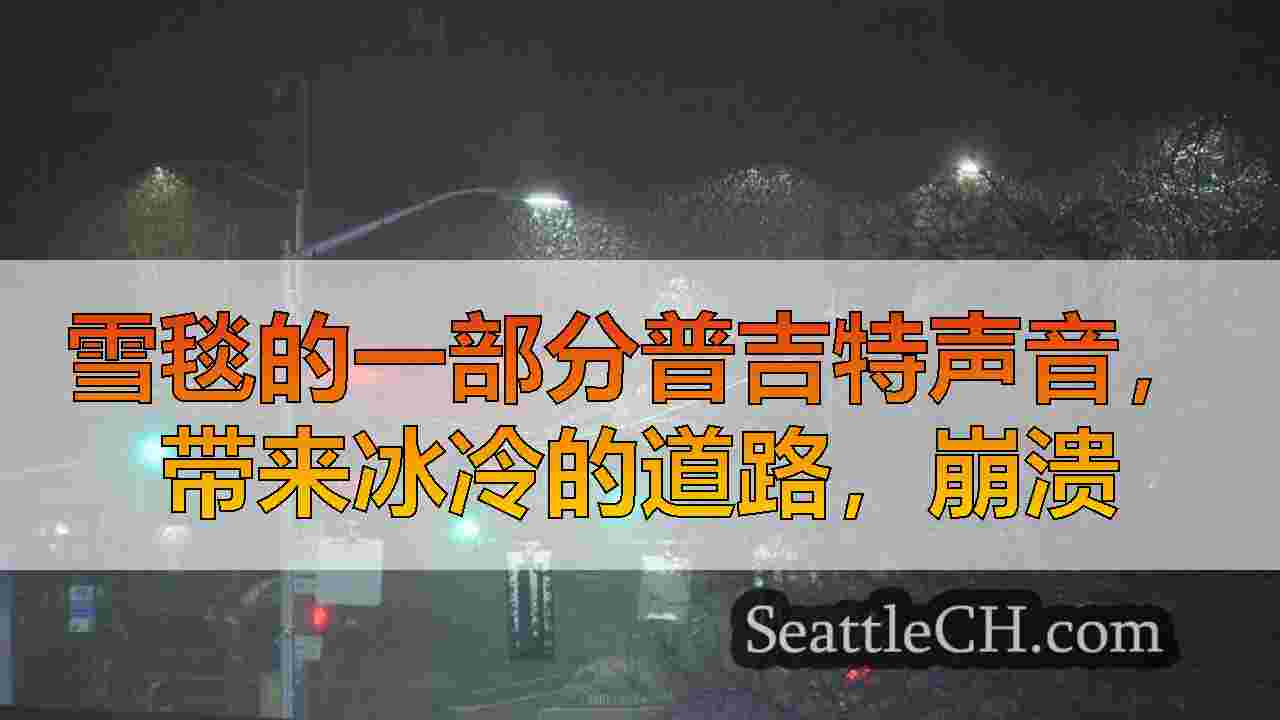 雪毯的一部分普吉特声音，带来冰冷的道路，崩溃