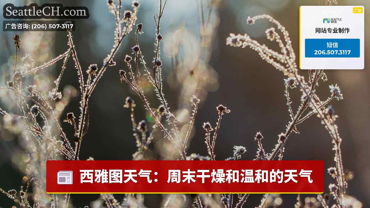 西雅图新闻 SeattleCH