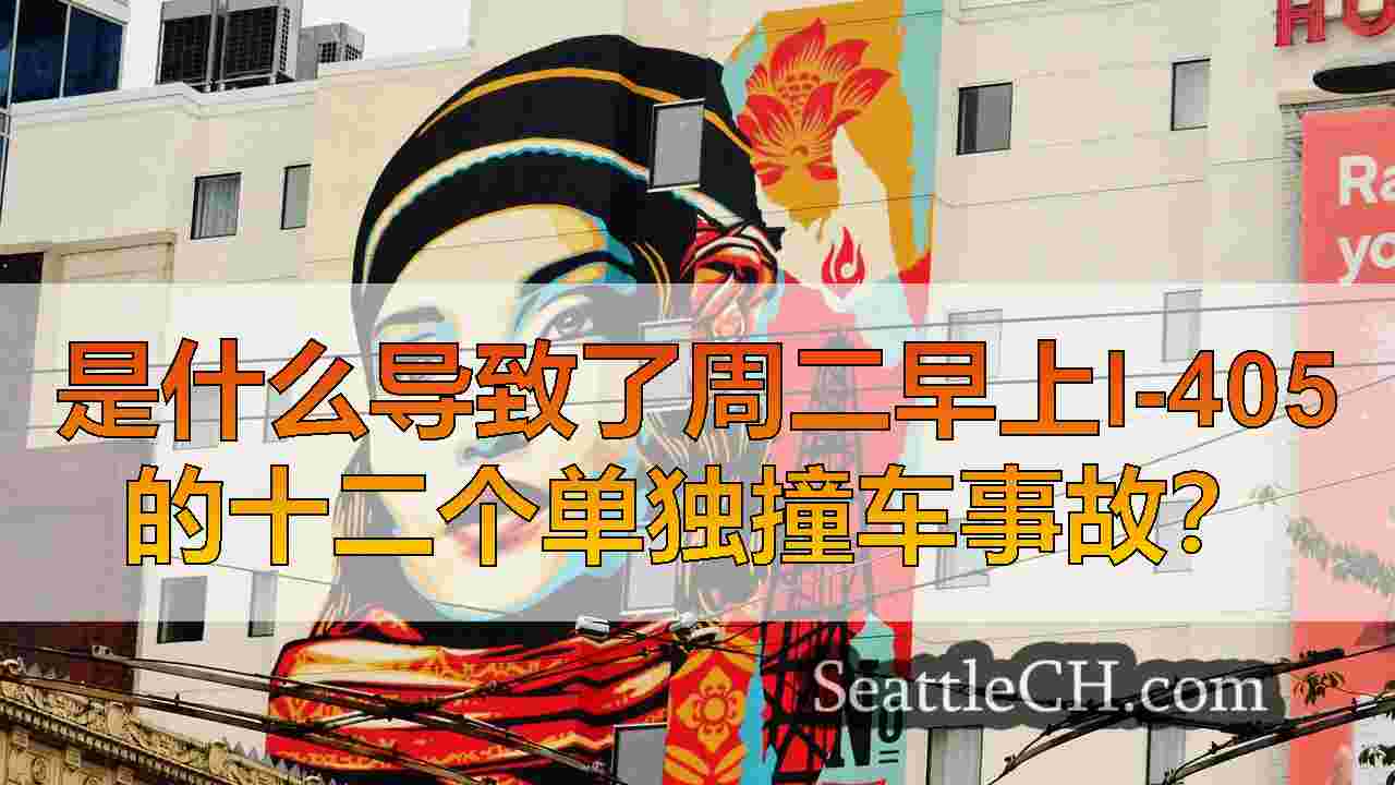 西雅图新闻 SeattleCH