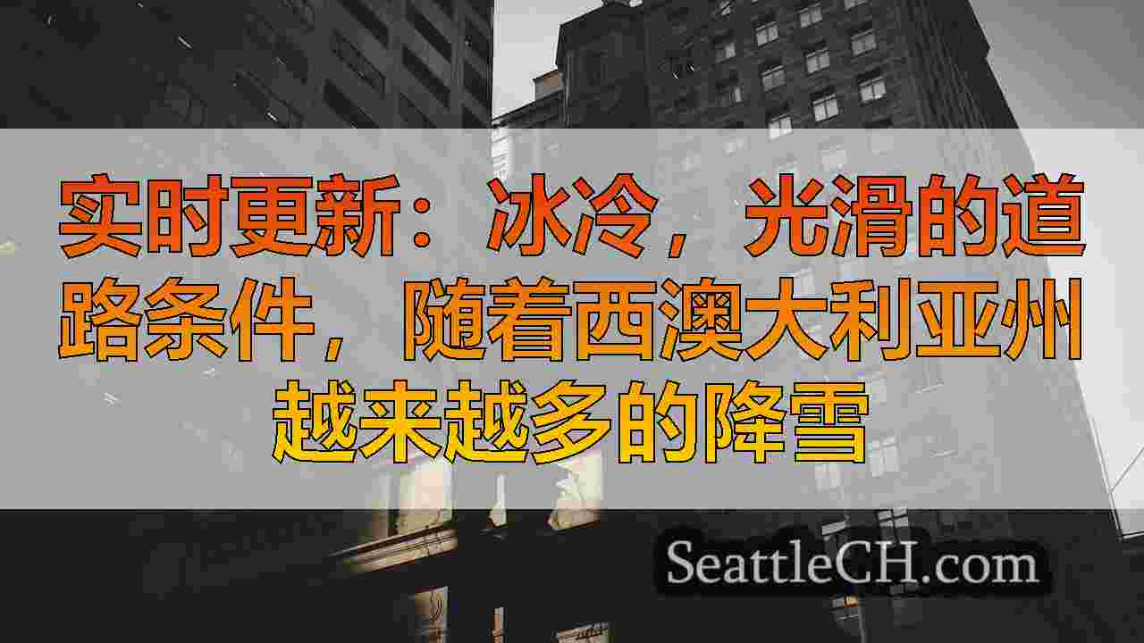 西雅图新闻 SeattleCH