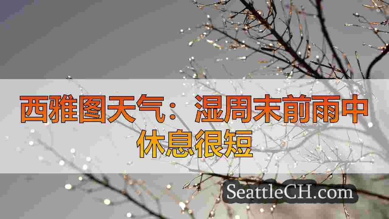 西雅图新闻 SeattleCH