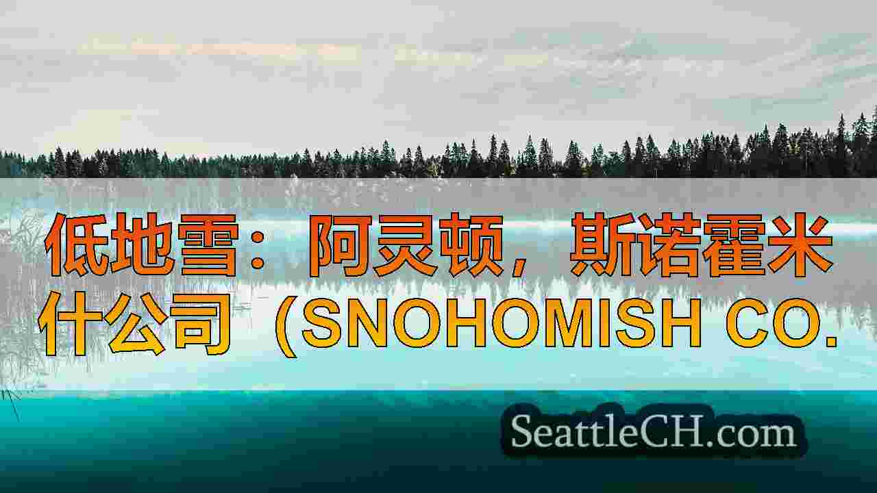 西雅图新闻 SeattleCH