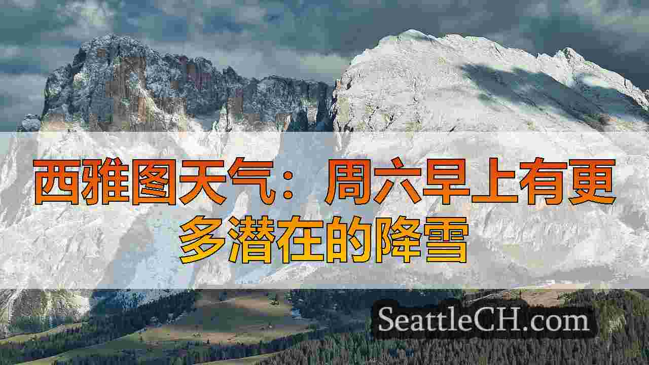 西雅图新闻 SeattleCH