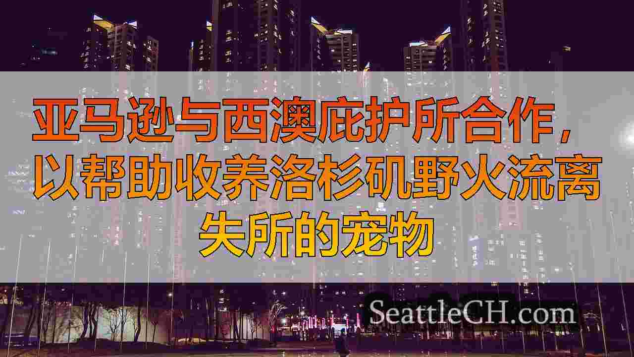 西雅图新闻 SeattleCH